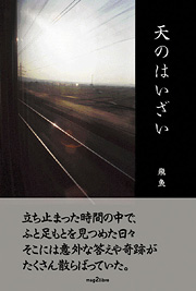 天のはいざい