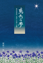 鳶色の夢　惟任将軍記・光秀と天海と玄琳